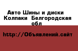 Авто Шины и диски - Колпаки. Белгородская обл.